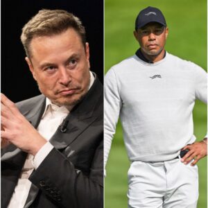 "BEATED BEATEN BEATEN BEATEN - PAY NOW!" - Tiger Woods sues Elon Musk and Network for $50 MILLION after shocking direct attack.