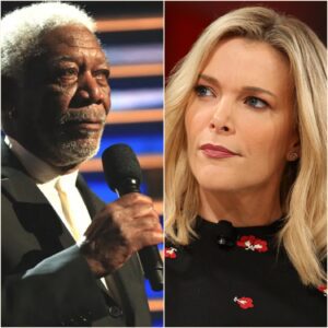 Morgan Freeman’s Eight Words That Silenced Megyn Kelly: When Calm Became the Loudest Sound - H