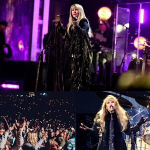 Stevie Nicks Turns a Moment of Division Into a Night of Unity in Nashville_cz
