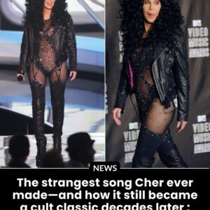 Cher’s “Dark Lady”: The Strangest Song That Became a Cult Classic