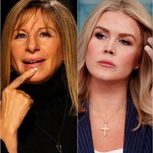 💥 “I WILL NEVER BE YOUR PUNCHLINE!” — Barbra Streisand’s Fiery On-Air Showdown Leaves Viewers Stunned. ws