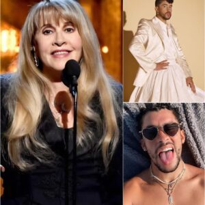 STEVIE NICKS STRIKES BACK: “DON’T TURN THE SUPER BOWL INTO A CIRCUS”_CZ
