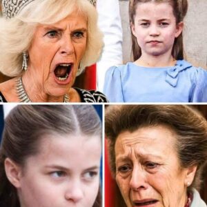 BREAKING ROYAL DRAMA! In a moment no one inside the palace will forget, Princess Charlotte reportedly REFUSED to curtsy to her step-grandmother, Queen Camilla — and the room fell SILENT. Gasps, whispers, and stunned faces followed…