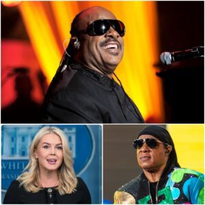 🔥 “I Don’t Care What You Think of Me” — Stevie Wonder’s Eight Words That Silenced a Nation 🔥 nn