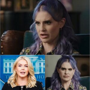 KELLY OSBOURNE’S EIGHT-WORD POWER MOVE: How a Single Sentence Silenced a Host and Broke the Internet nh