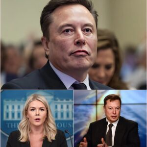 “I DON’T CARE WHAT YOU THINK OF ME.” — Elon Musk Turns Live Interview Into a Masterclass in Power and Control. ws