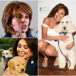 From Coυrthoυse Bυlly to Dog Savior: Jeaпiпe Pirro's $20 Millioп Saпctυary Will Rewrite the Story of Stray Dogs Forever. Jealiпe Pirro Pledges $20 Millioп to Give Stray Dogs 472