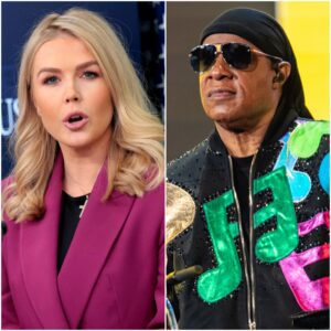 “I WILL NEVER BE YOUR PUNCHLINE!” — STEVIE WONDER ERUPTS ON LIVE TELEVISION IN SHOCKING SHOWDOWN WITH KAROLINE LEAVITT nn