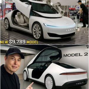 Tesla Model 2 2026 Officially Announced – Elon Musk Shocks the World! Tesla has just unveiled
