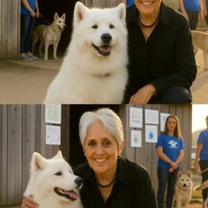 Joan Baez Quietly Saves 39 Dogs from Death Row in New Jersey Shelter Miracle 🐾💖