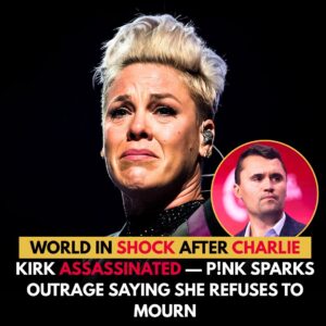 P!NK TARGETED BY FAKE NEWS AGAIN: STAR FACES ONLINE ATTACKS, FIGHTS TO CLEAR HER NAME nn
