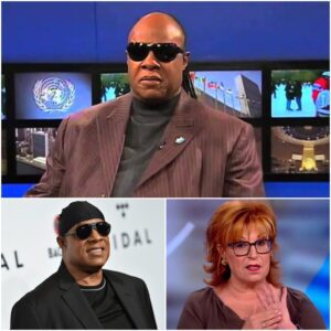 “THIS ISN’T AN INTERVIEW — IT’S AN AMBUSH, AND I WON’T PLAY ALONG.” Stevie Wonder WALKS OUT of The View After Fiery On-Air Clash With Joy Behar — Audience Left in Shock 🚨 nn
