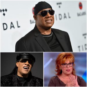 “I WON’T LET MY FAITH OR MY CHARACTER BE TWISTED FOR ENTERTAINMENT.” Stevie Wonder WALKS OUT of The View After Fiery On-Air Clash With Joy Behar — Audience Left in Shock 🚨 nn