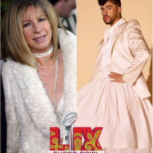 “You bring a man in a dress to the Super Bowl? Then don’t call it football — call it a circus.” With those bold words, Barbra Streisand sent shockwaves across the internet. ws