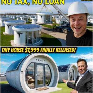 Elon Musk Announces Tesla Tiny House $7,999 Finally Released! Free Land, No Tax!