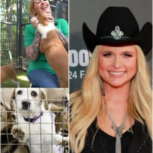 🌟 Miranda Lambert has garnered attention far beyond the country music scene with the launch of “Star Haven,” a $5 million dog sanctuary in her native Texas.