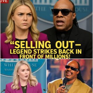 LIVE TV DRAMA! Karoline Leavitt ACCUSES Stevie Wonder of “Selling Out” — Music Legend Strikes Back in Front of Millions! nn
