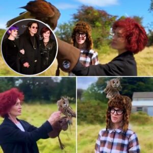 Sharon Osbourne Steps Out for the First Time Since Saying Goodbye to Ozzy โ Daughter Kelly Lifts Her Spirits with a Touching Falconry Outing Filled with Smiles and Healing