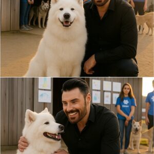 Rylan Clark quietly walked into a small New York rescue shelter on the brink of closing, determined to save every dog inside. 💖🐾 TT