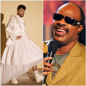 STEVIE WONDER SLAMS SUPER BOWL HALFTIME PERFORMANCE CHOICE: "IT’S AN INSULT TO AMERICAN MUSIC" nn