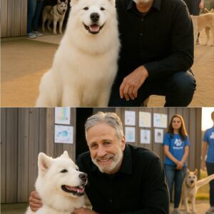 Jon Stewart quietly walked into a small New York rescue shelter on the brink of closing โ with just 48 hours to go before all the dogs inside would be put down. ๐๐พ TT