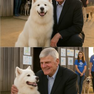 Franklin Graham quietly walked into a small New York rescue shelter on the brink of closing โ with just 48 hours to go before all the dogs inside would be put down. ๐๐พ TT