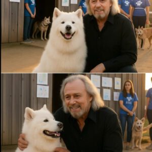 Barry Gibb quietly walked into a small New York rescue shelter on the brink of closing โ with just 48 hours to go before all the dogs inside would be put down.๐๐พ TT