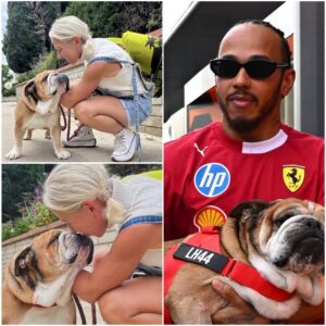 Angela Cullen has revealed that sheโs planning to buy Lewis Hamilton a new dog...