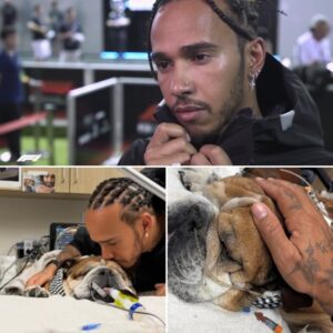 Lewis Hamilton has endured countless sleepless nights, sometimes resting only three hours...