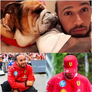 “Grief is the Final Act of Love”