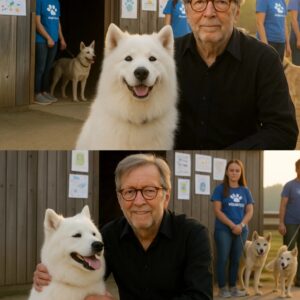 Eric Clapton quietly walked into a small Surrey rescue shelter on the brink of closing — with just 48 hours to go before all the dogs inside would be put away.