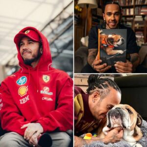 After the heartbreaking loss of his beloved dog Roscoe, seven-time F1 world champion Lewis Hamilton left the world in tears when he unexpectedly announced that he is writing a special book to preserve the memories of his dearest four-legged companion...