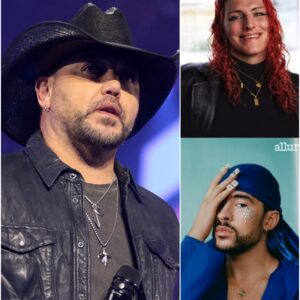 Jason Aldean just said what half of America was thinking. In the wake of Trumpโs Olympic ban on LGBT athletes, the country rock/bro-country frontman took to the microphone and yelled