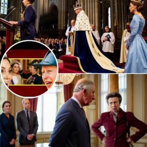 “IT’S TIME!” — Princess Anne has just sent ROYAL WATCHERS into a frenzy! In a move NO ONE saw coming, the ever-respected Princess Anne has confirmed that Prince William