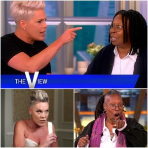 P!NK BLOWS UP LIVE TV: “I’M NOT HERE TO BE LIKED — I’M HERE TO TELL THE TRUTH YOU KEEP BURYING!” nn