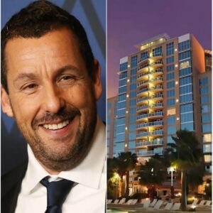 “DISRESPECTED AND KICKED OUT OF A LUXURY HOTEL, Hollywood star Adam Sandler CAME BACK THE NEXT DAY — NOT TO COMPLAIN, BUT TO…”