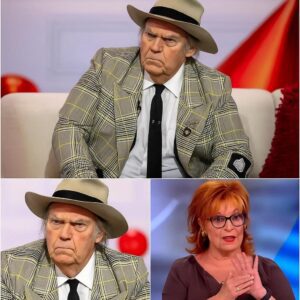 Breaking News: P!nk Walks Out of The View After Fiery On-Air Clash with Joy Behar — Audience Left in Shock nn