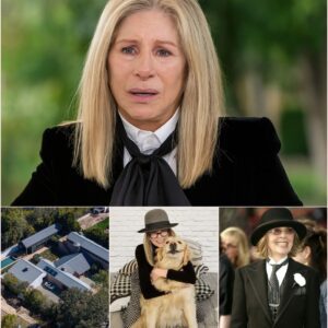 Sudden Shift: Barbra Streisand's Tribute Ignites Curiosity Over Diane Keaton's Final Months. ws