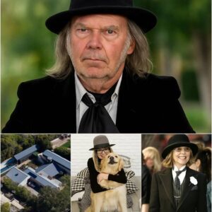 “Something Changed So Suddenly…” — Neil Young’s Emotional Tribute Raises Questions About Diane Keaton’s Final Months 🕊️ nn