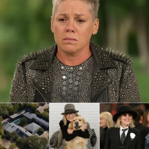 “Something Changed So Suddenly…” — P!nk’s Emotional Tribute Raises Questions About Diane Keaton’s Final Months 🕊️ nn