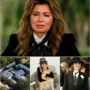 “Something Changed So Suddenly…” — Shania Twain’s Emotional Tribute Raises Questions About Diane Keaton’s Final Months 🕊️ nn