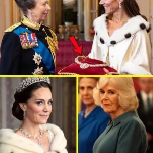 ๐ JUST IN: Princess Anne Surprises Princess Catherine with a Secret Gift โ Camilla Left Speechless! ๐ฑTT