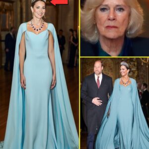 OMG! Princess Catherine ROCKED The World In Glamorous Queen Gown and Historic Tiara that Camilla Wants The Most - Ngl