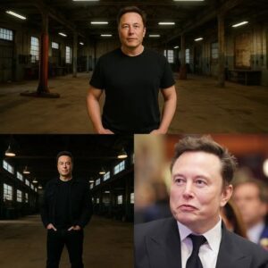 He strode into the press room and dropped it like a bomb: Elon Musk now claims he’s about to redefine humanity’s future with a plan no one saw coming