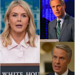 MEDIA MELTDOWN: ABC News Anchor SUSPENDED After Karoline Leavitt Exposes His Shocking Comment....