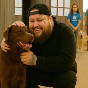 Jelly Roll quietly walked into a small rescue shelter in New York, with just 48 hours left before all the dogs inside would be put down.