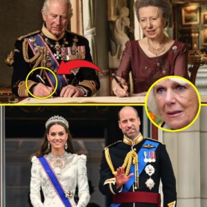 "She's No Longer Queen Consort!": King Charles And Princess Anne’s FINAL ULTIMATUM To Camilla's Future Role Left Her In Tears! - NGL