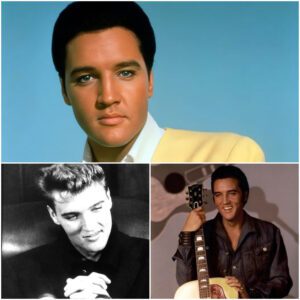 “Elvis Presley: The Kiпg of Rock aпd Roll Whose Mυsic Chaпged the World” - SUN