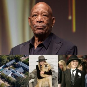 “Something Changed So Suddenly…” — Morgan Freeman’s Emotional Tribute Raises Questions About Diane Keaton’s Final Months 🕊️ - H