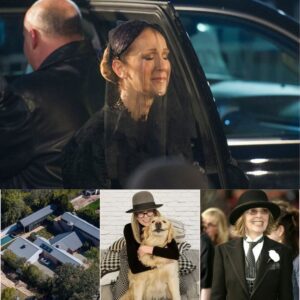 “Something Changed So Suddenly…” — Céline Dion’s Emotional Tribute Raises Questions About Diane Keaton’s Final Months 🕊️ - H